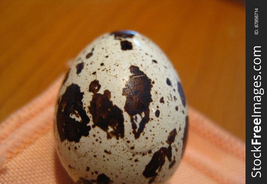pattern-on-quail-egg-shell