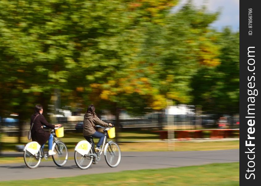 people-riding-bicycles-in-the-park