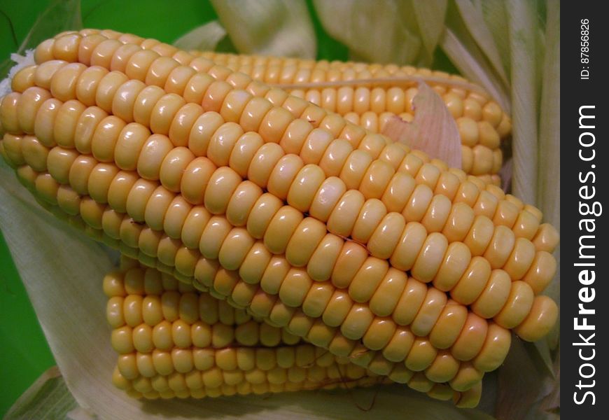 raw-corn-cobs-and-corn-leaves