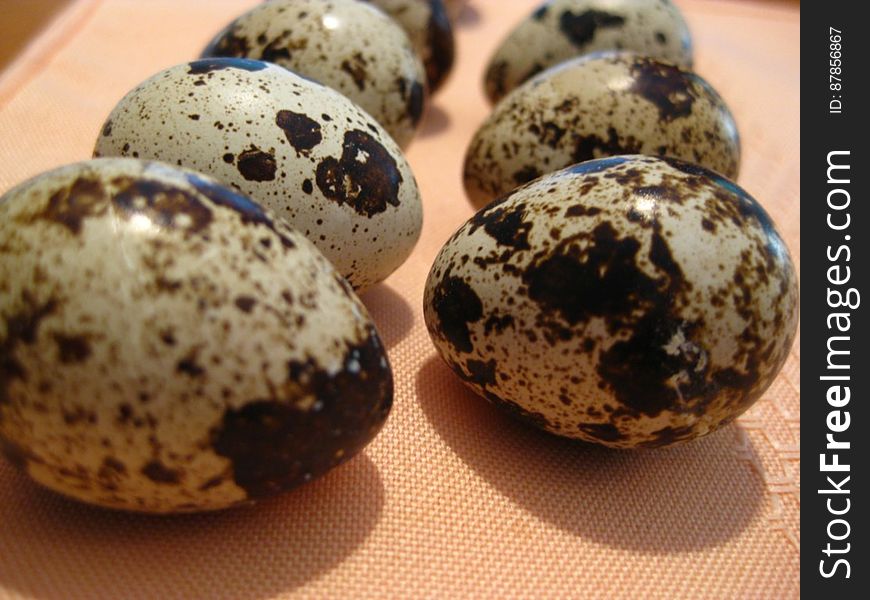 quail-eggs-on-cloth