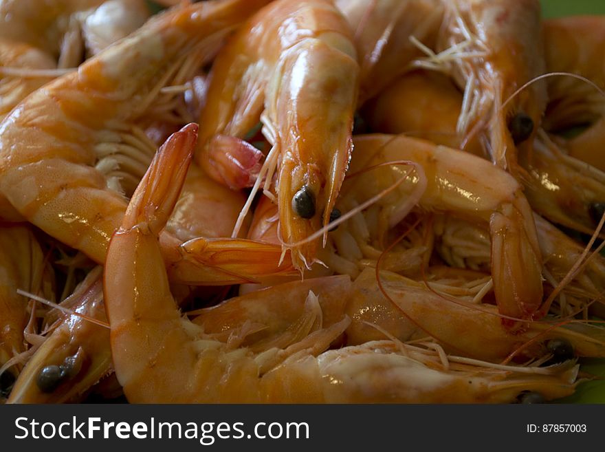Shrimps Ready To Be Cooked