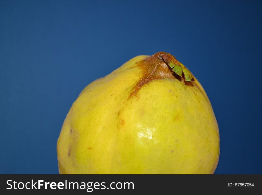 quince-against-navy-blue-background
