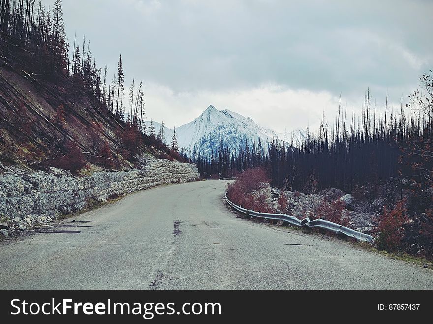 Scenic view of road through coniferous forest with snow capped mountain in background. Scenic view of road through coniferous forest with snow capped mountain in background.