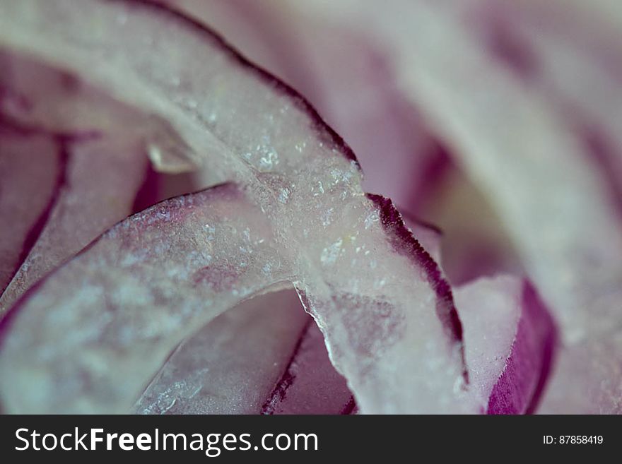 Slices Of Red Onion