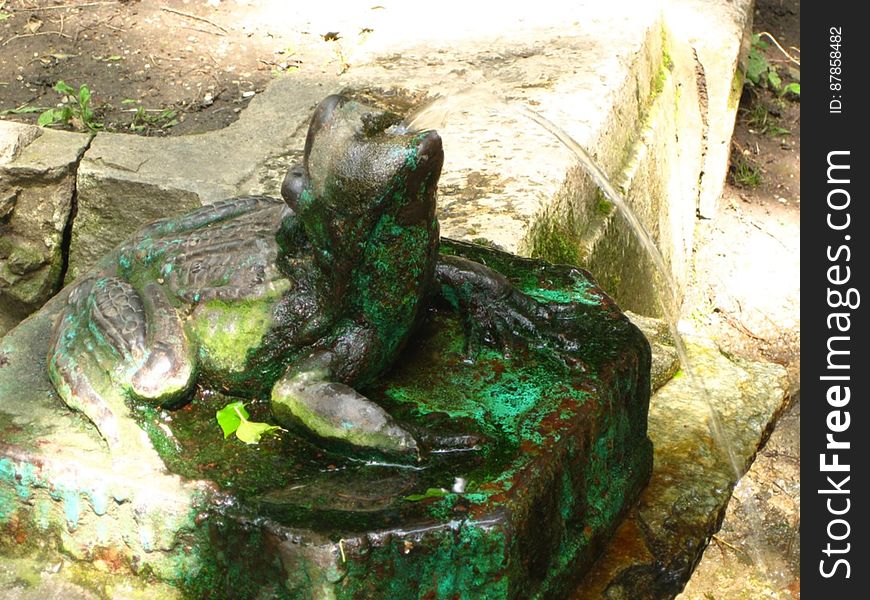 stone-fountain-frog