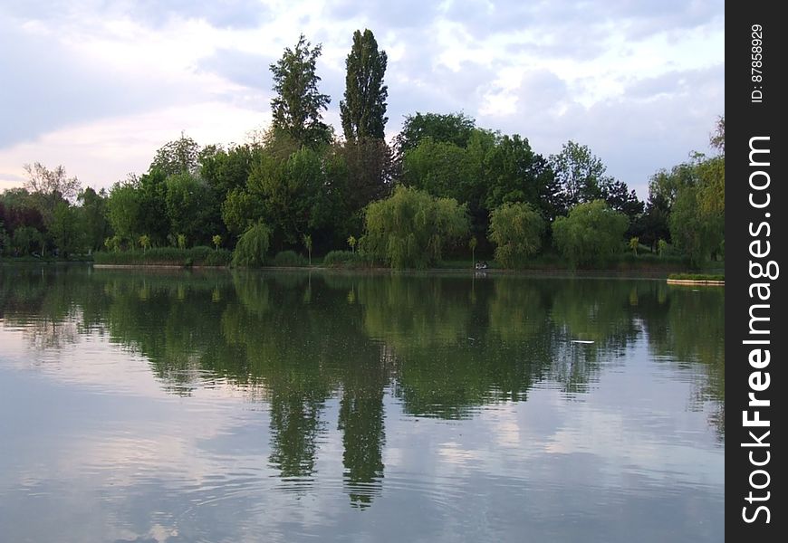 trees-mirroring-in-the-lake