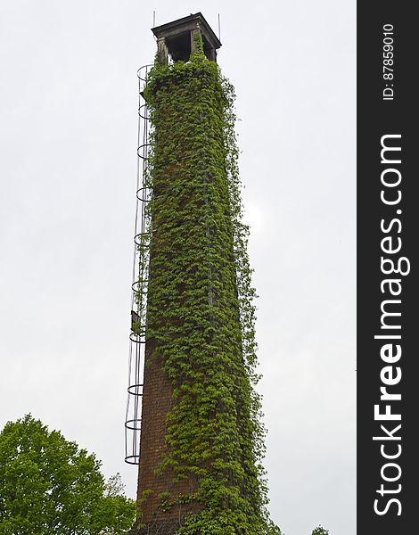 Vegetation covered chimney with metallic staircase.
