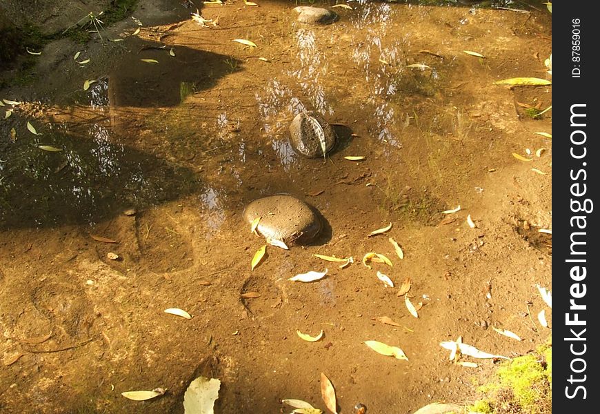 Stones-in-shallow-water