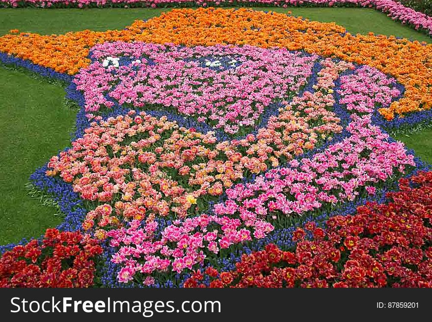 Van Gogh Tulip Mosaic