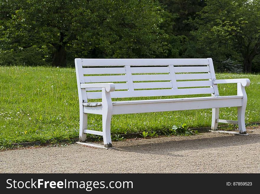 White wooden bench with grassland in the background