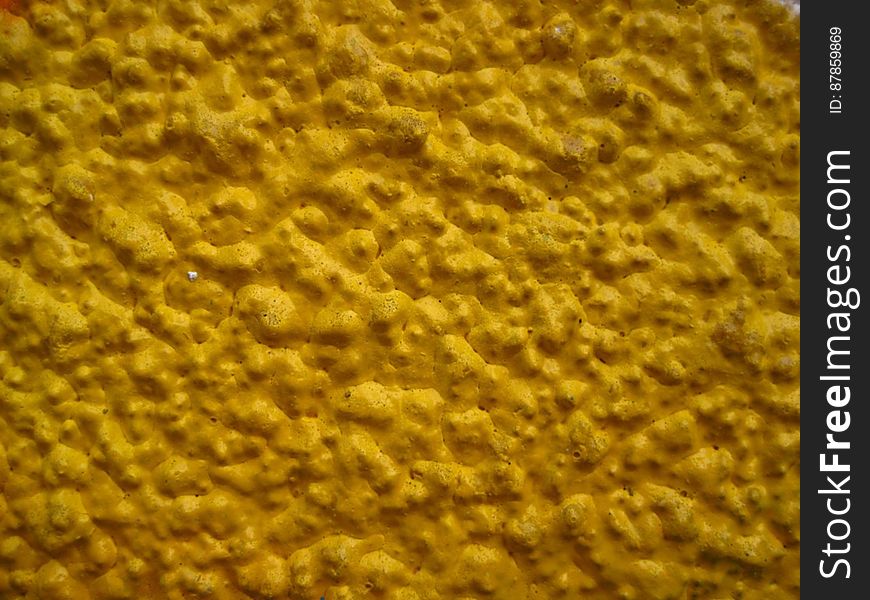 Yellow-painted-wall