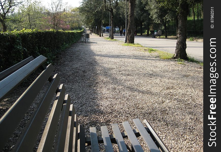 bench-in-villa-borghese-park