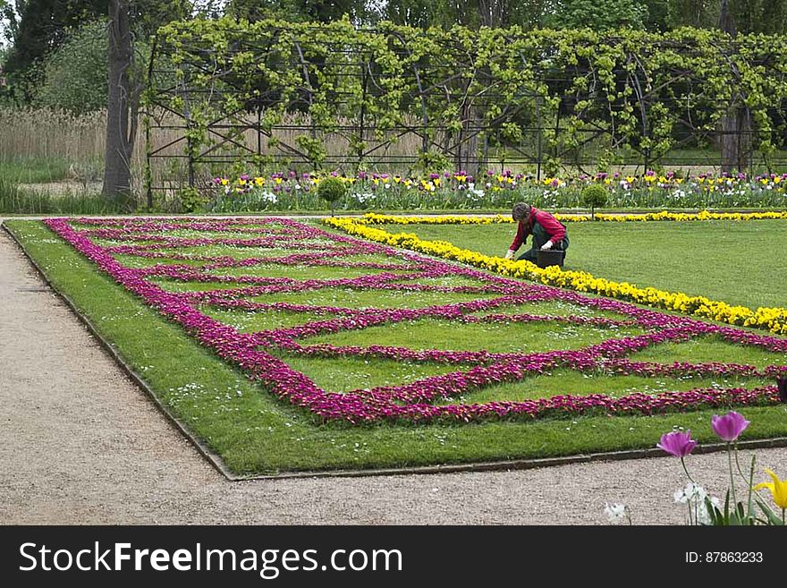 Gardener tending to flowers in innyward of Roman Baths in Sanssouci Park. Gardener tending to flowers in innyward of Roman Baths in Sanssouci Park.