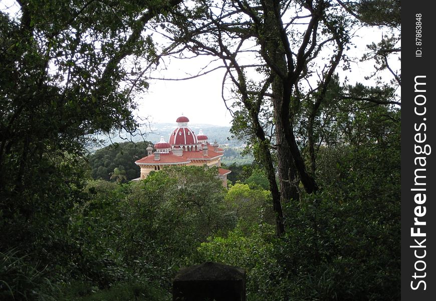 monserrate-palace-roof-seen-from-above