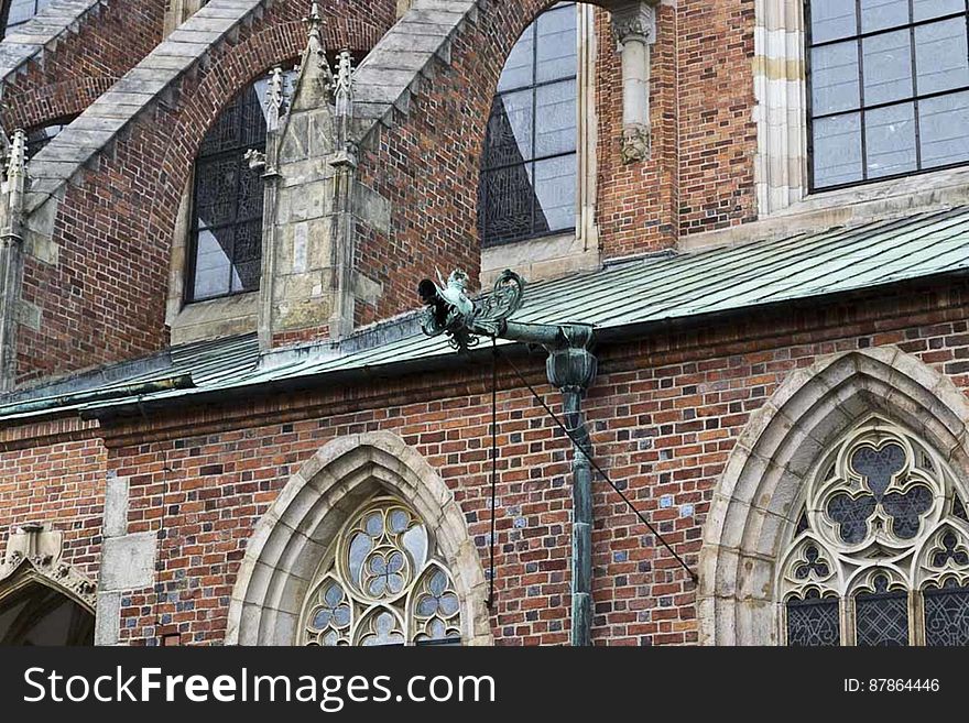 gothic cathedral dragon rain gutter