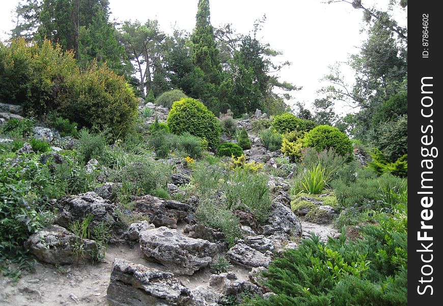 Rocky-botanical-garden