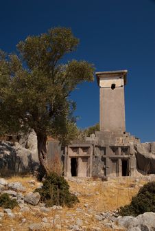 Olive Tree And Tombs, Xanthos, Turkey Royalty Free Stock Photo