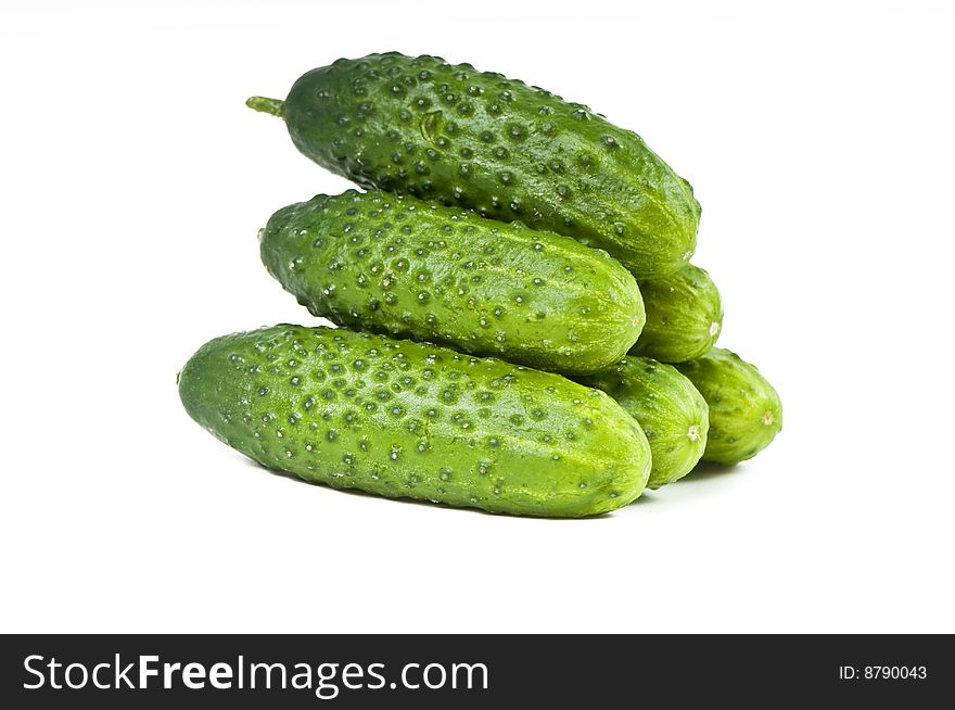 Green cucumber vegetable fruits  isolated on white background