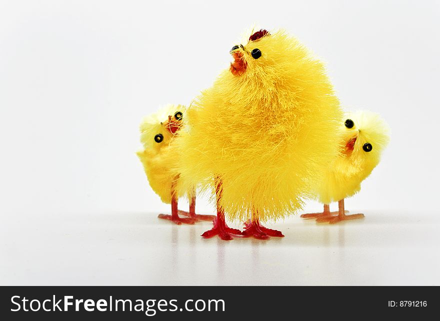 Easter chickens family on white background