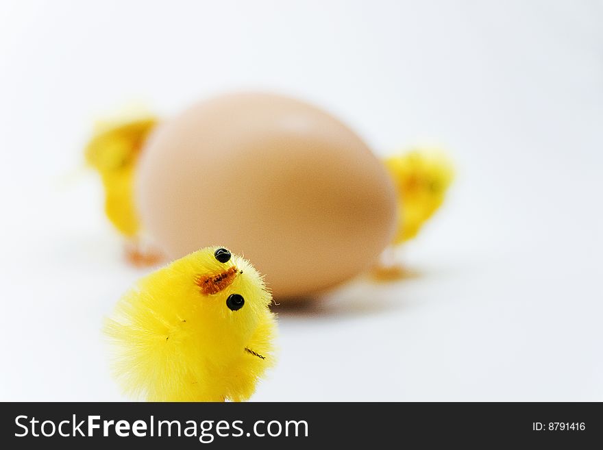 Easter chickens family on white background