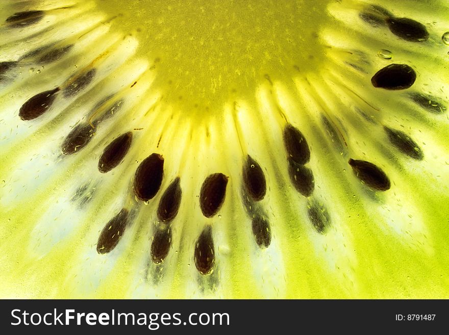 Close up of backlit kiwifruit flesh. Close up of backlit kiwifruit flesh