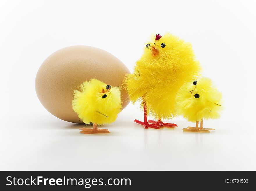 Easter chickens family on white background