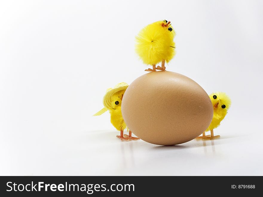 Easter chickens family on white background