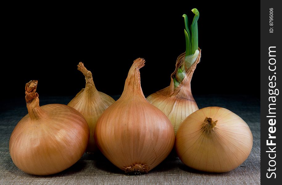 Onion