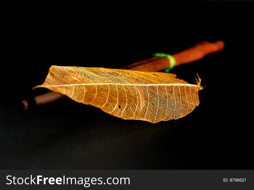 Close up transparent leaf with chopstick. Close up transparent leaf with chopstick