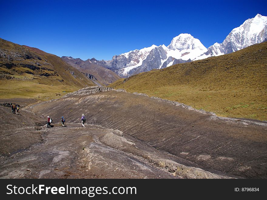 Hikers On Trail In High Andes