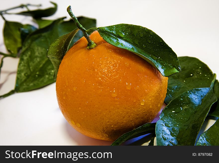 Fresh orange with green leaves on white background