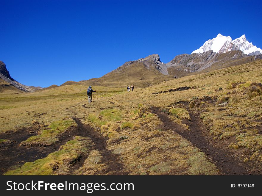 Hikers on trail in high Andes, Yerupaja  in background,  Cordillera Huayhuash, Andes, Peru, South America