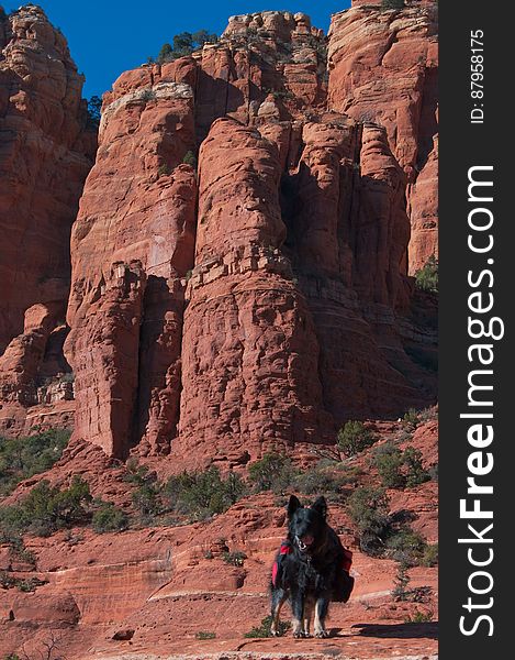 Mitten Ridge Trail