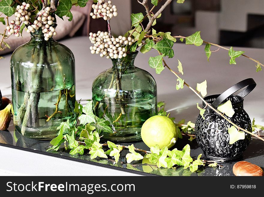Green Leaved Plants in Green Clear Glass Vase