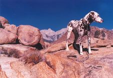 Free Traveled Exciting Lands.... Royalty Free Stock Photos - 87961548