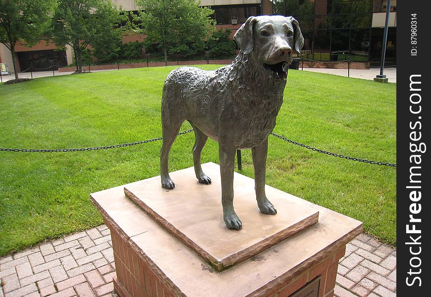 UMBC mascot en.wikipedia.org/wiki/UMBC_Retrievers. UMBC mascot en.wikipedia.org/wiki/UMBC_Retrievers