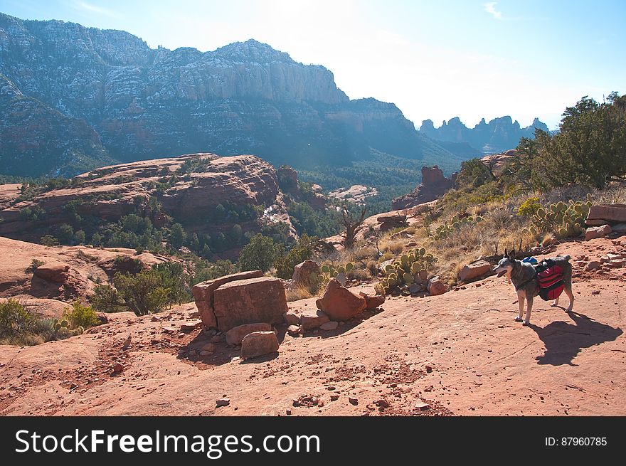 Mitten Ridge Trail