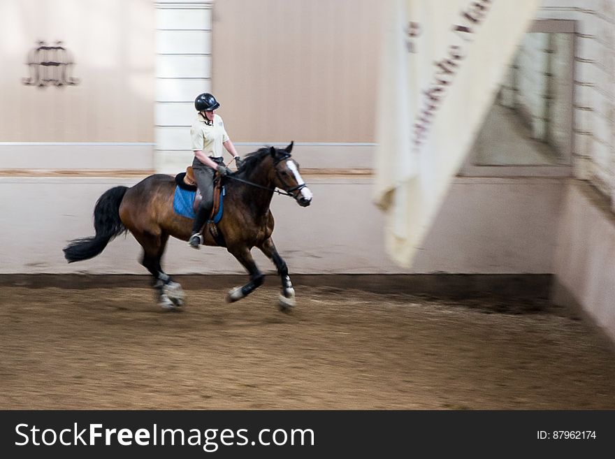 Rider and horse training in riding school, Amsterdam, Netherlands. Rider and horse training in riding school, Amsterdam, Netherlands.