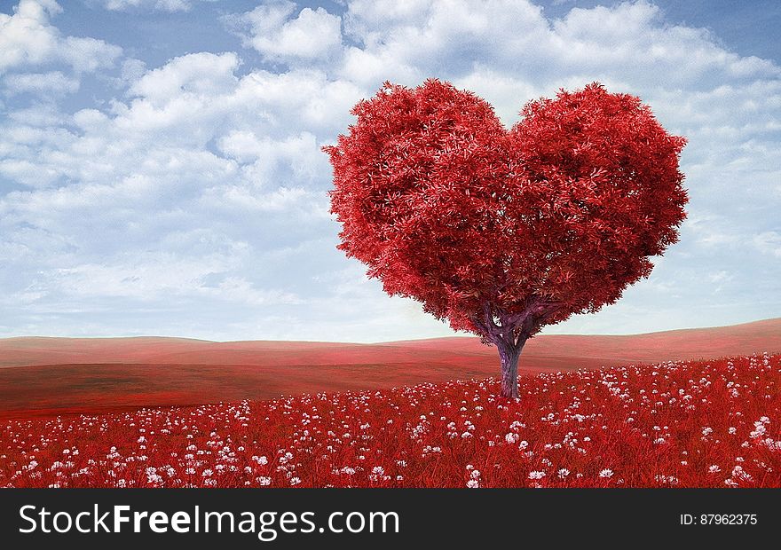 A red heart shaped tree on red meadow.