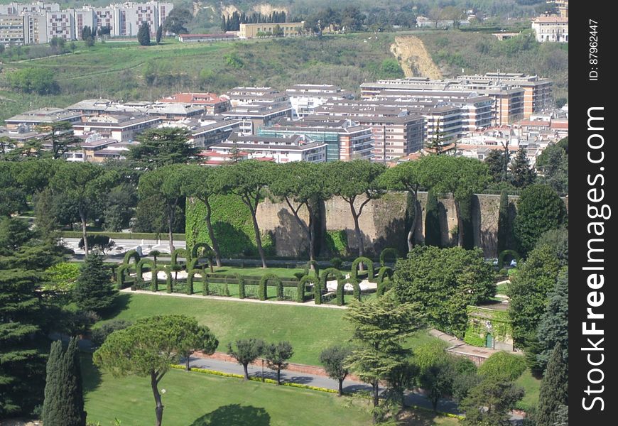 Aerial view of park in city with buildings in background.