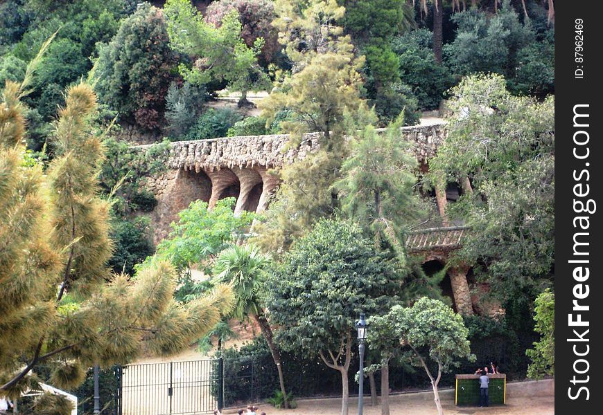 Ancient building on mountainside overgrown with trees. Ancient building on mountainside overgrown with trees.