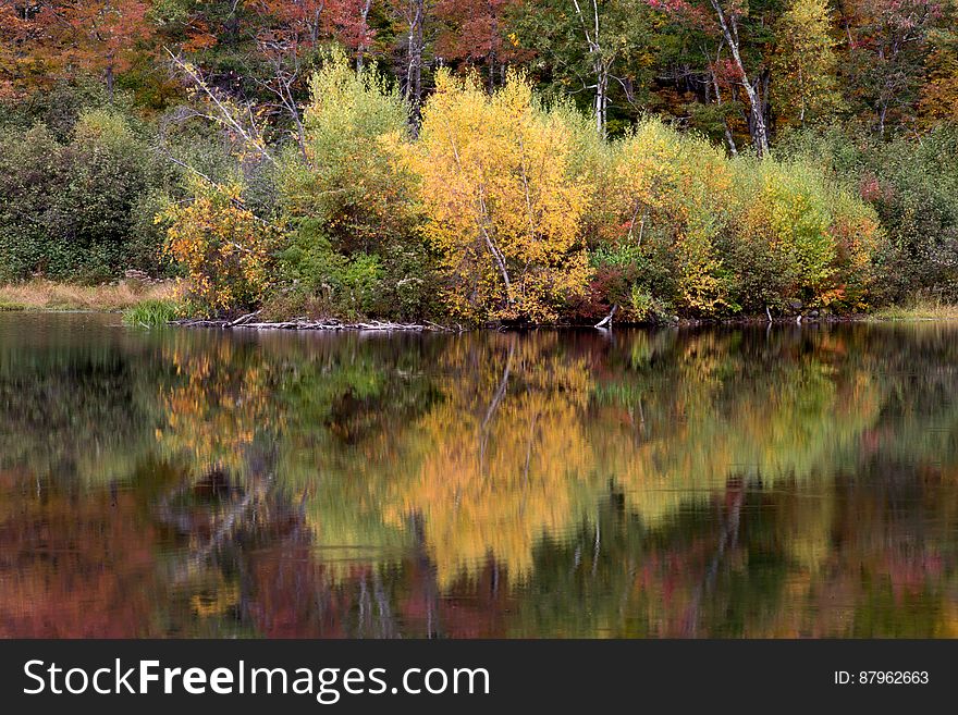 Autumn Trees Reflecting From Lake