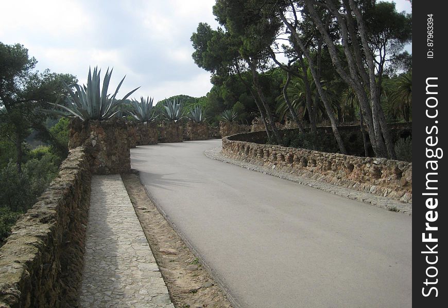 An old bridge with road in the tropic. An old bridge with road in the tropic.