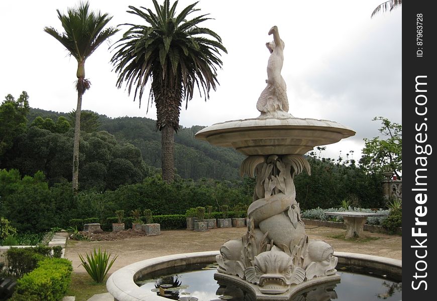 A fountain in a park with palm trees. A fountain in a park with palm trees.