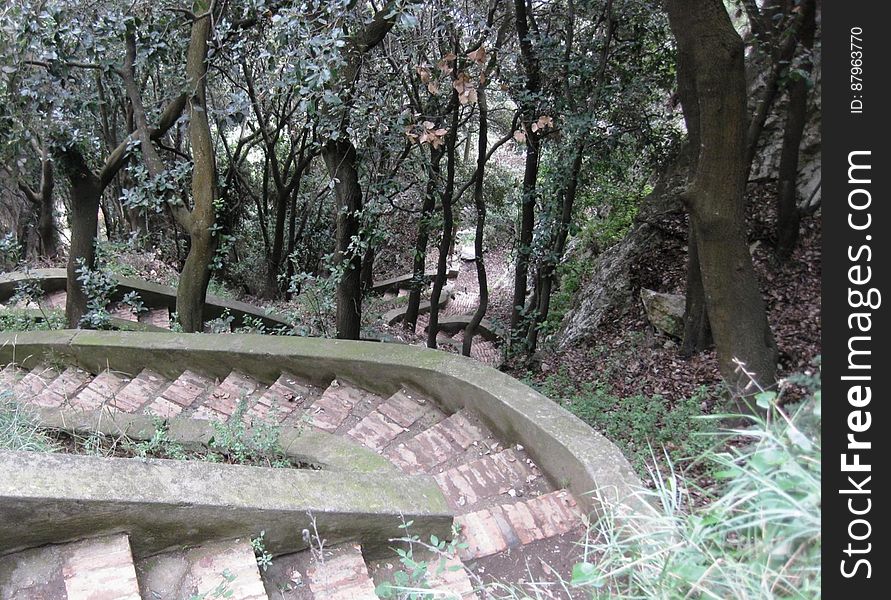 A stairway in a park leading downwards. A stairway in a park leading downwards.