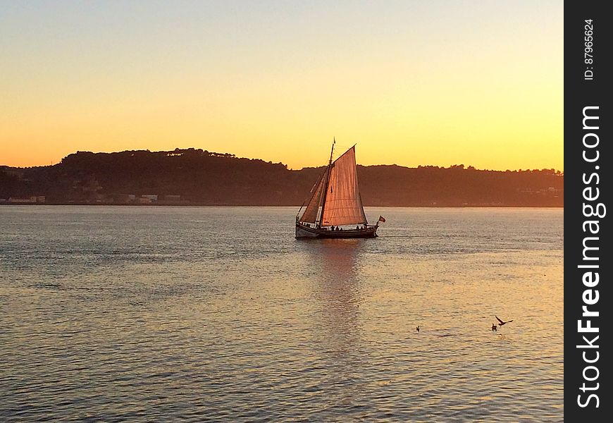 Felluca Boat Sailing At Sunset