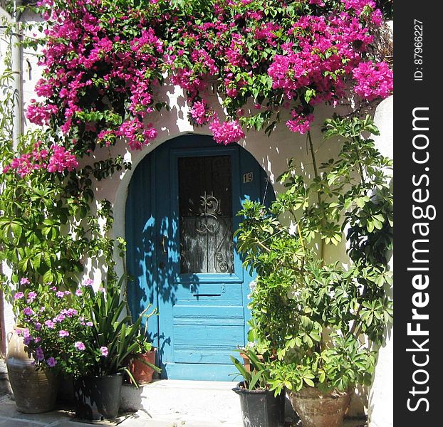 Blue wooden entrance door and pink Mediterranean flowers above. Blue wooden entrance door and pink Mediterranean flowers above.