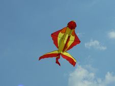 Kite Fish Stock Photography Kite Fish Stock Photography