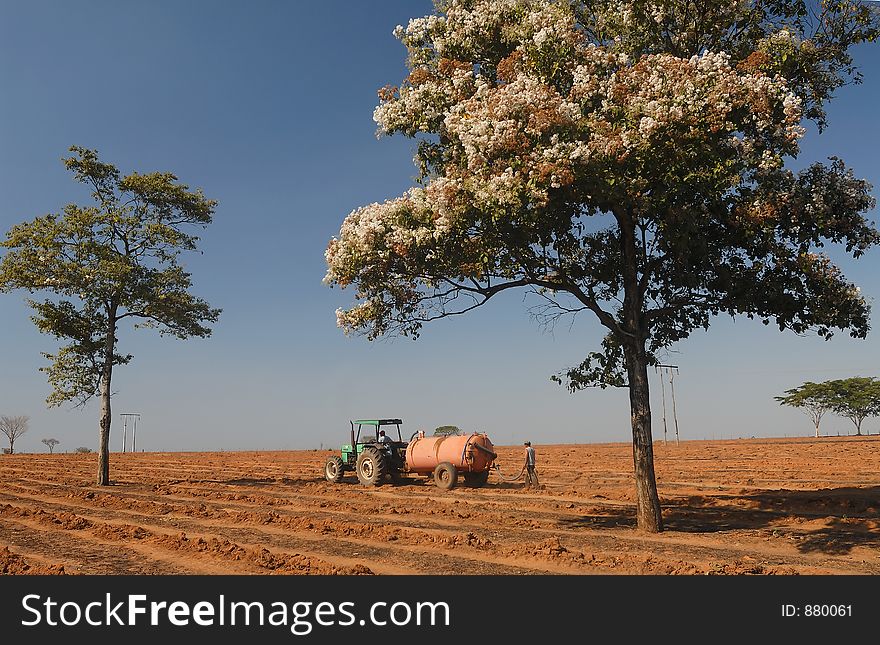A farmer with his tractor in the field