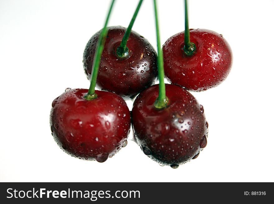 Four cherries in isolated